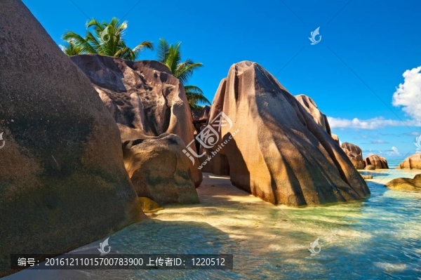夢海景觀
