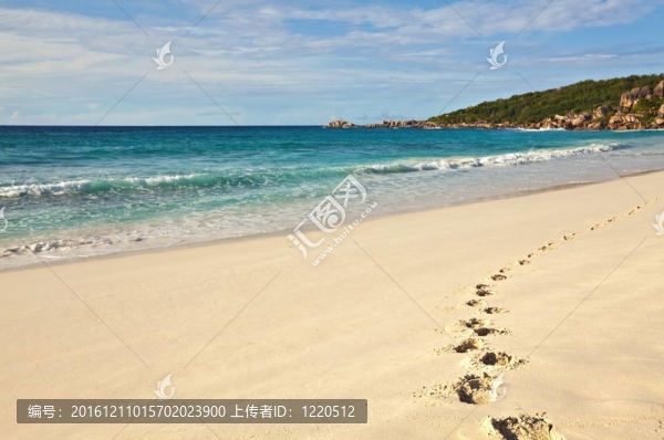 沙灘上的腳印