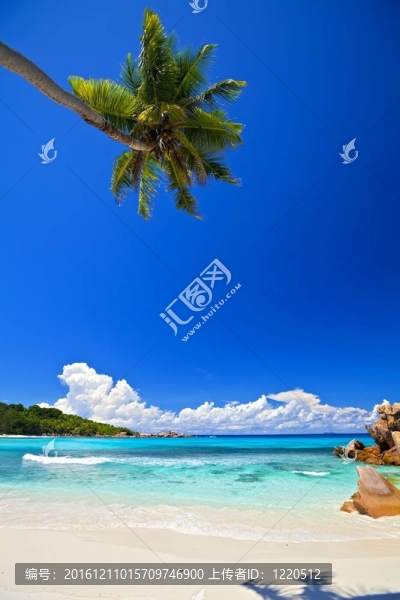 夢海景觀