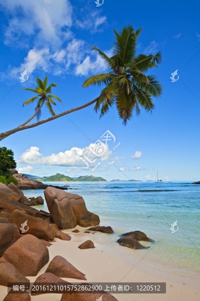 夢海景觀