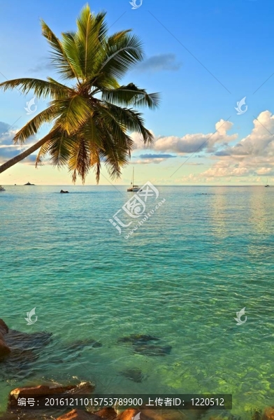 海景觀