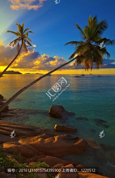 夢(mèng)海景觀