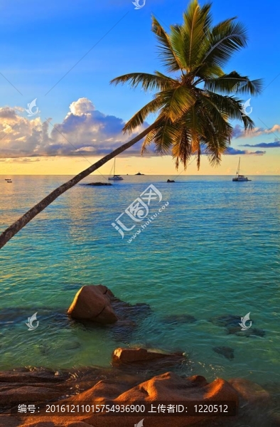 夢海景觀