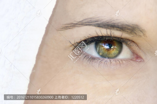 女人的眼睛