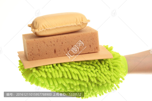 女性的手和黃羚羊和海綿手套