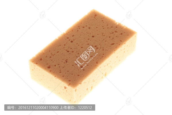 白色背景上的海綿