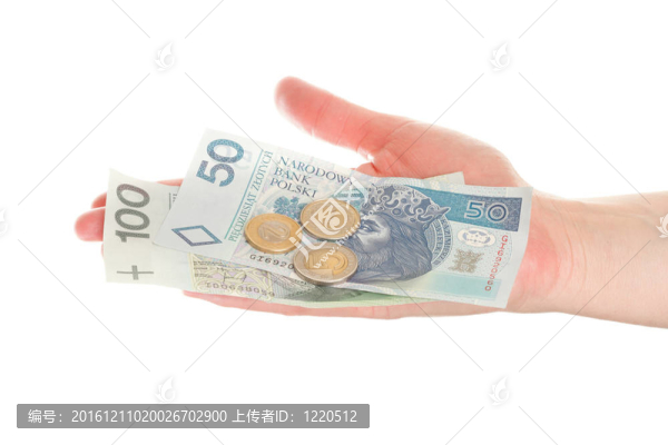 手中的波蘭貨幣