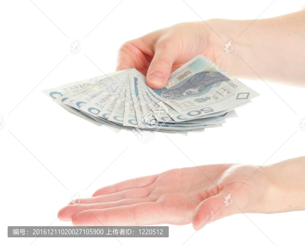 手中的波蘭貨幣