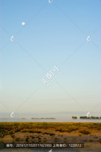 藍(lán)天上的月亮