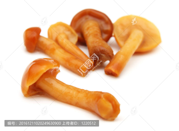 白底蘑菇