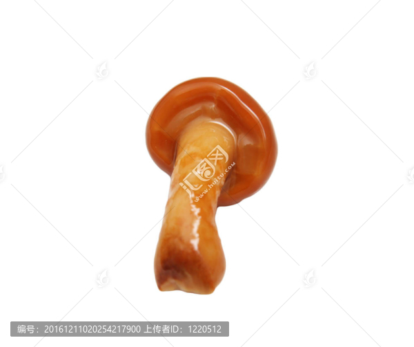 白底蘑菇