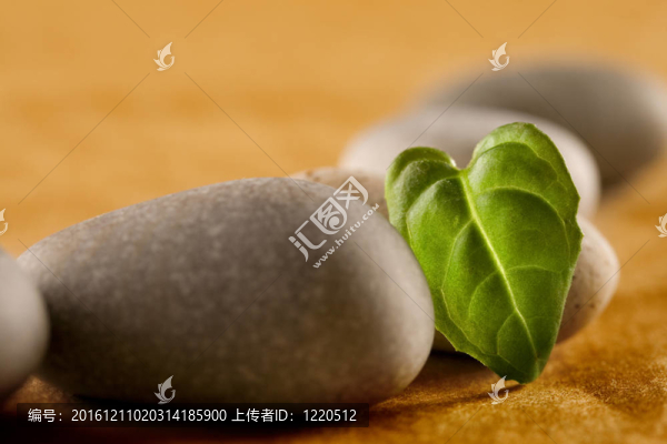 石頭和綠葉