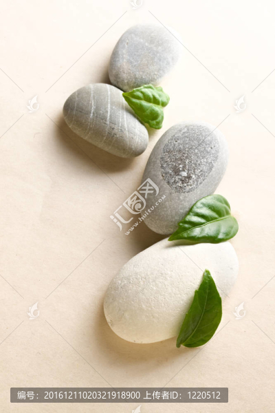石頭和綠葉