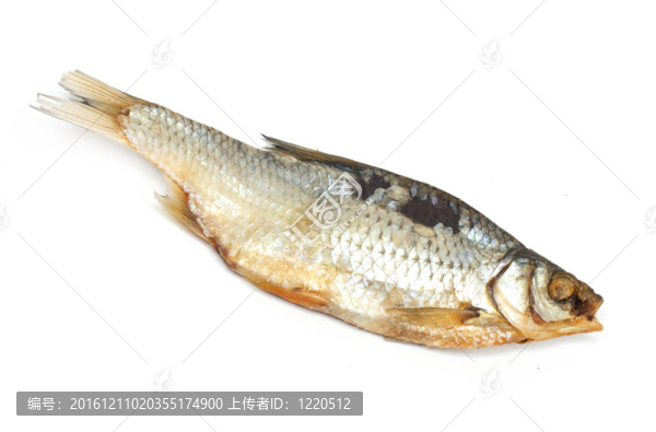 白底干魚