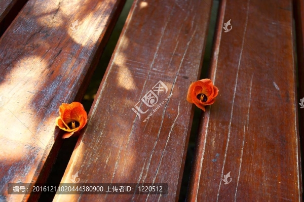地板上的花