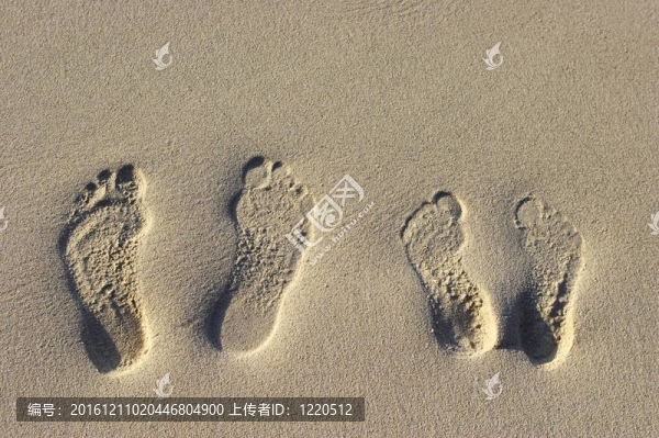 沙灘上的腳步聲