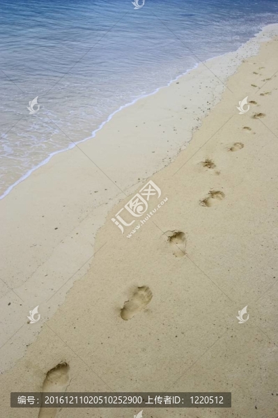 沙灘上的足跡