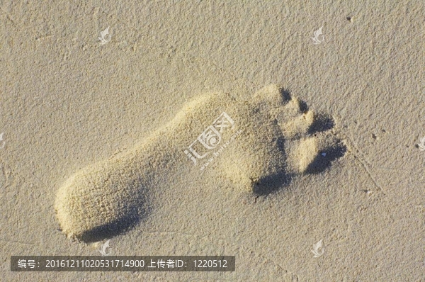 足跡