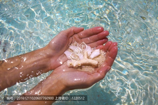 一方面與珊瑚
