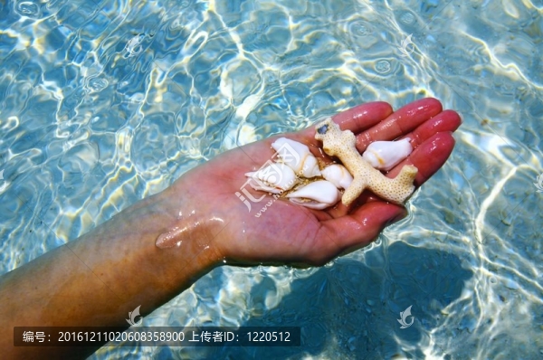 一方面與珊瑚