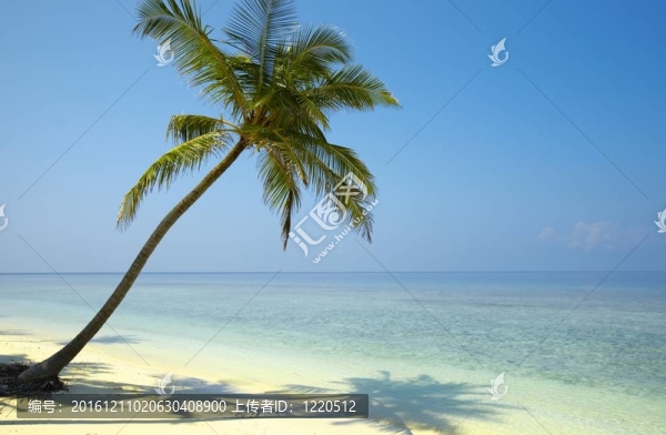 溫柔的海景