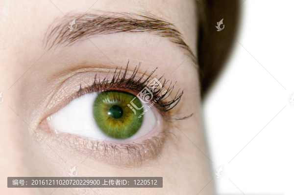 女人的綠眼睛