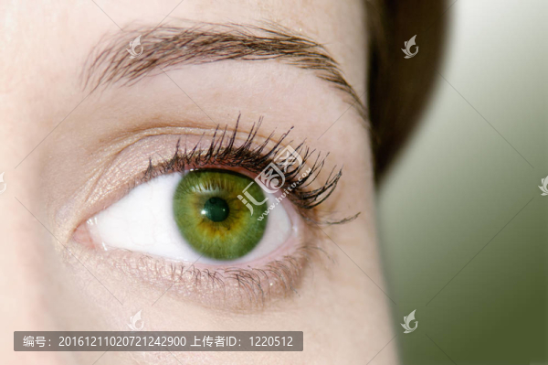 女人的綠眼睛