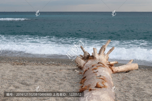 海灘上的行李箱