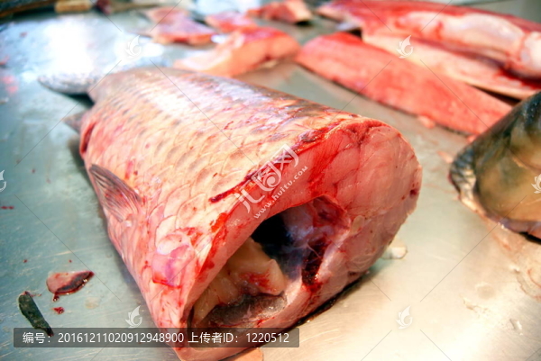 魚(yú)的肉