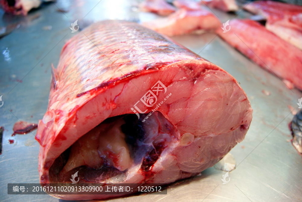 魚的肉