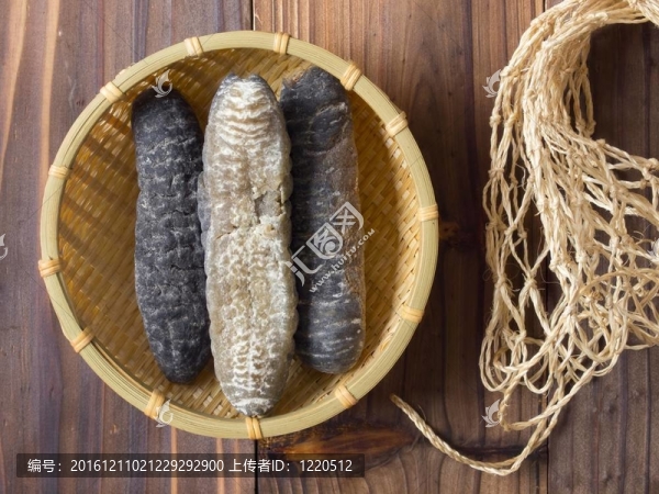 干海參特寫