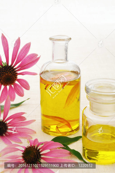 紫錐菊精油瓶stillife