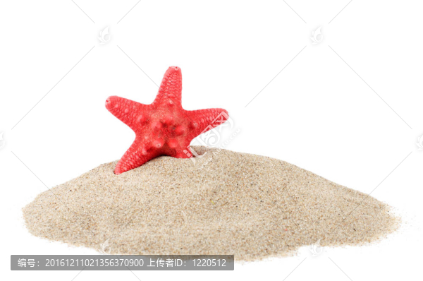 白海星