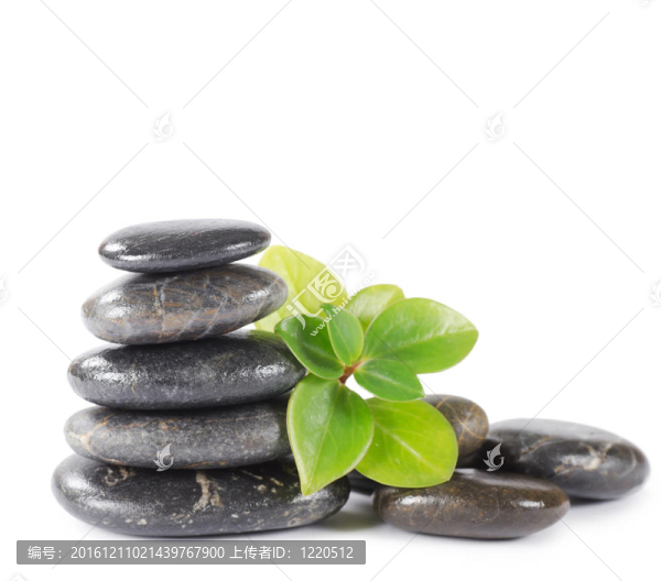 SPA的石頭
