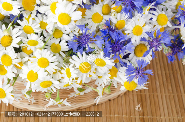 花籃中的美麗花朵