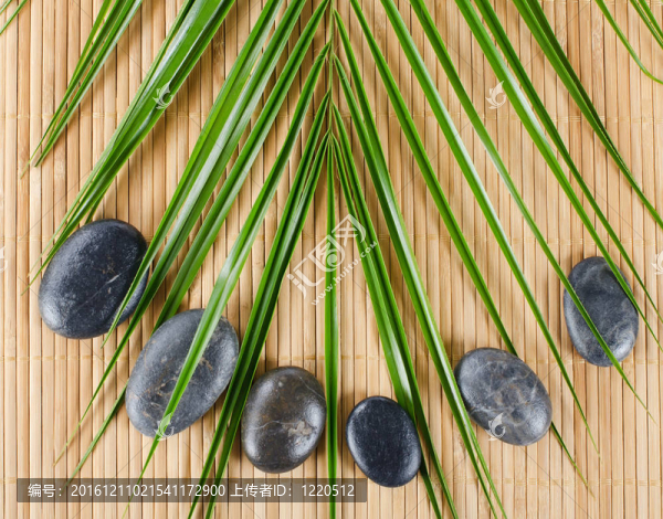 SPA的石頭