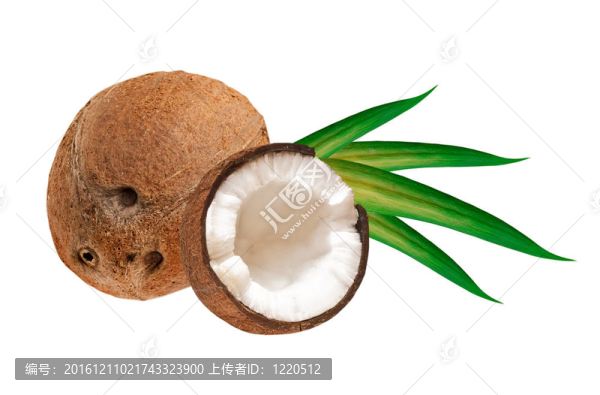 椰子