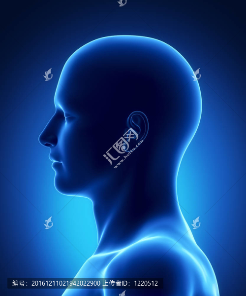 左視圖人頭