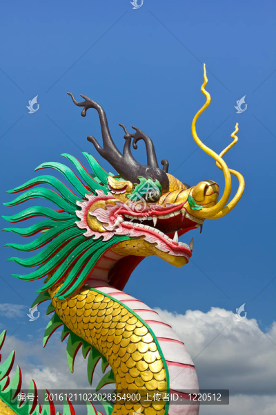 美麗的金龍與天空