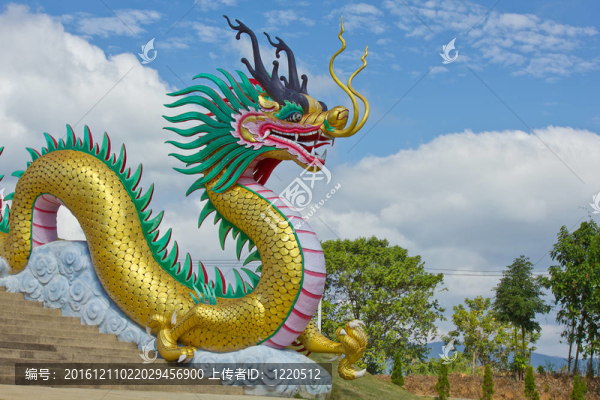 藍(lán)天金龍