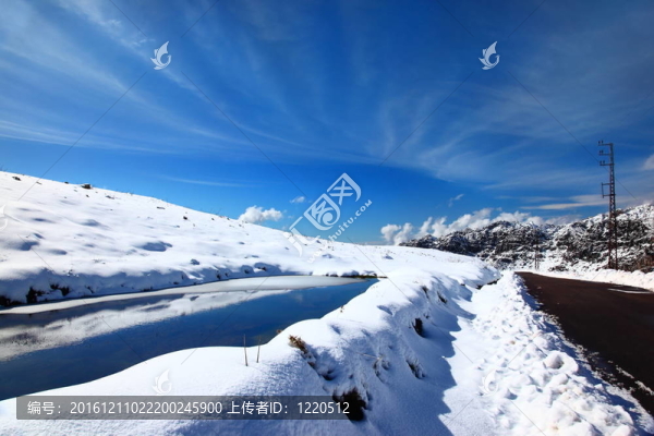 冬天湖景觀