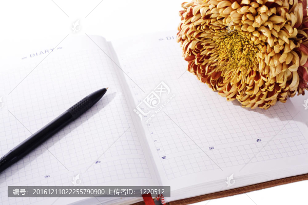 個(gè)人日記與花