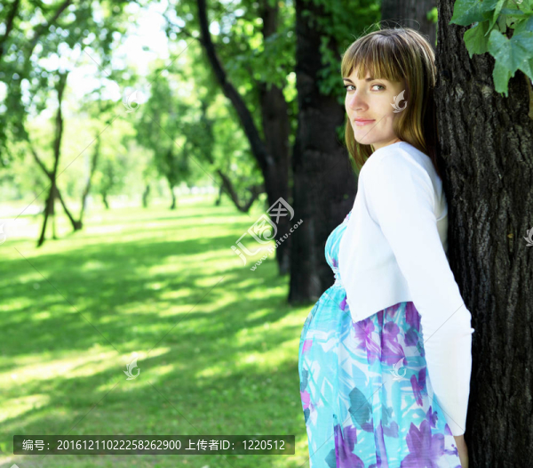年輕孕婦畫像