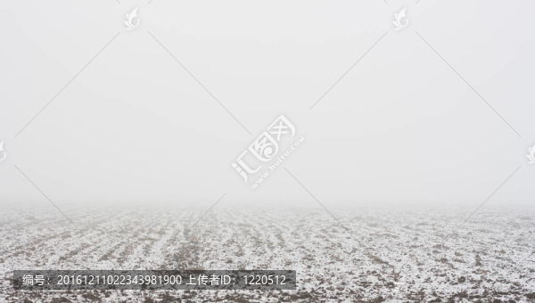 霧覆蓋的田野