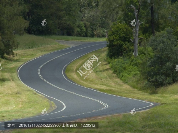蜿蜒的道路