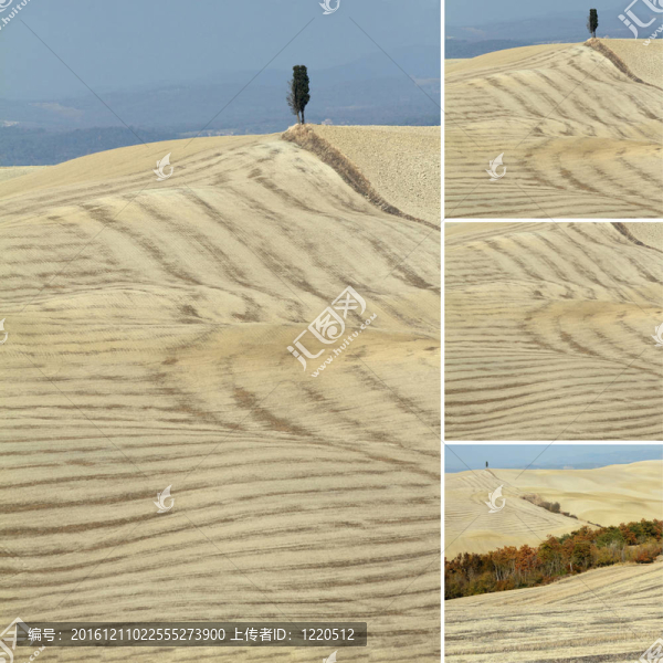 隨著克里特島senesi景觀拼貼；托斯卡納；意大利；歐洲