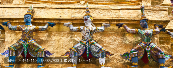 塔基大衛(wèi)士；泰國