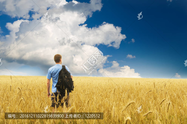 黃麥草甸人。