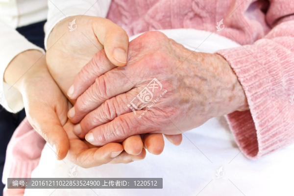 青年控股資深人士