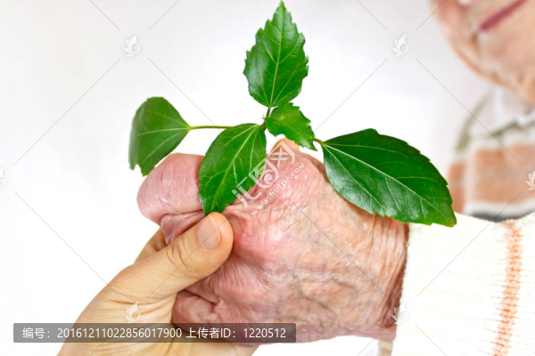 青青雙手捧綠植物